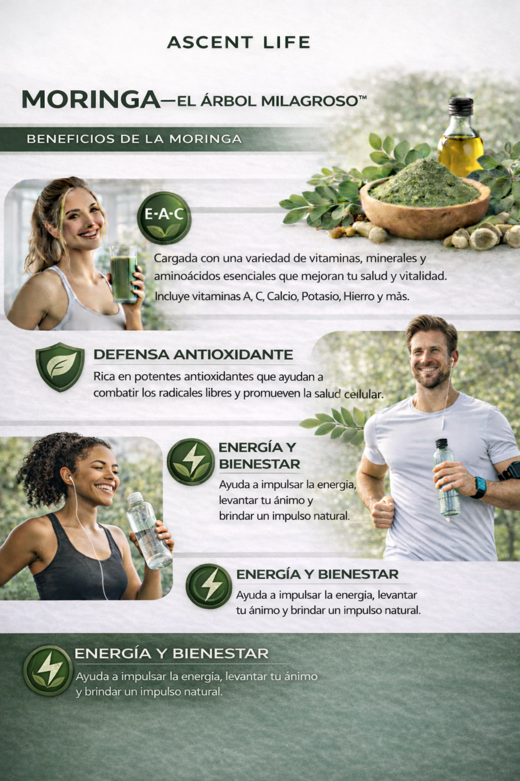Ascent Life – Moringa 100% pura que ayuda naturalmente a reducir el cortisol para el equilibrio de todo el cuerpo