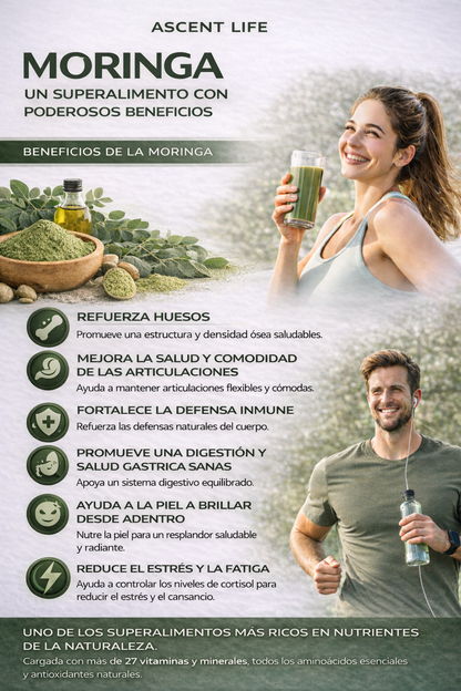 Ascent Life – Moringa 100% pura que ayuda naturalmente a reducir el cortisol para el equilibrio de todo el cuerpo
